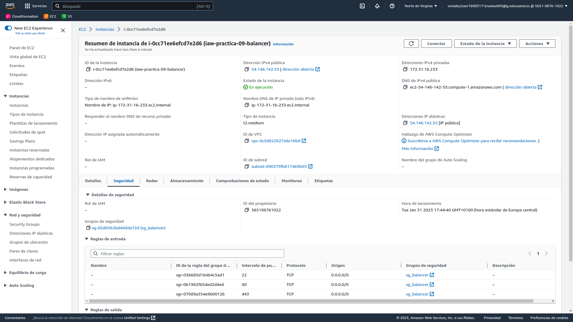 Comprobación de la asignación de la IP elástica